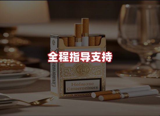 专业团队